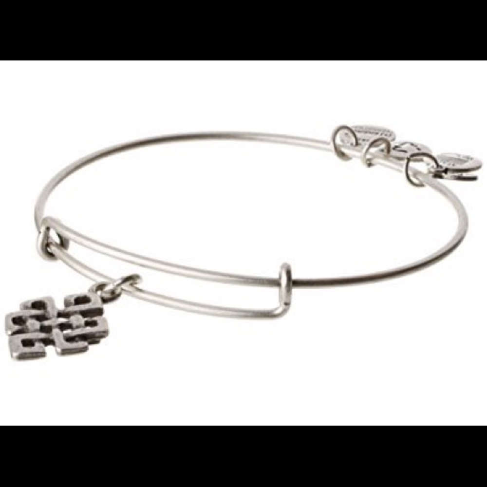 Alex and Ani silver endless knot Bangle
